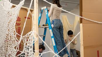 a student stands on a ladder as they and colleagues attach netting to a wood frame